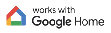 work with google home icon