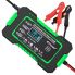 Generic Battery Charger with Pulse Repair Lead acid type 12V 6A Green